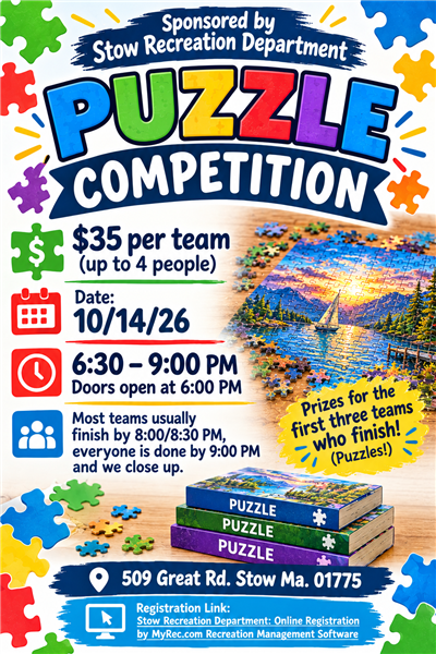 puzzle comp